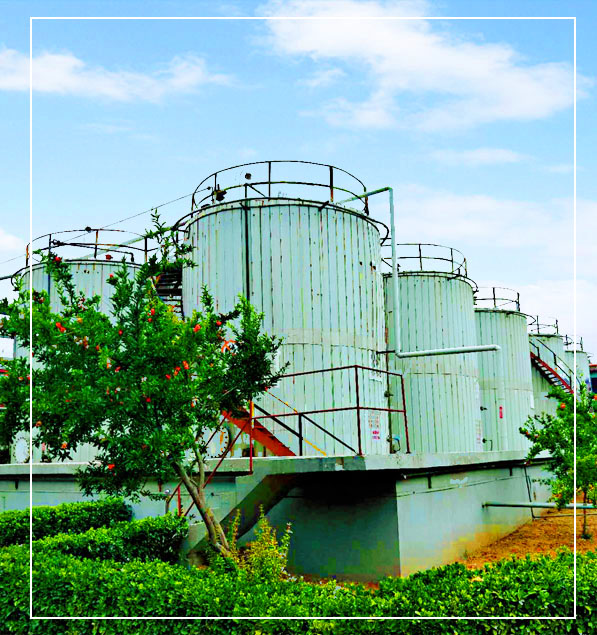 SHANDONG LONGZE CHEMICAL